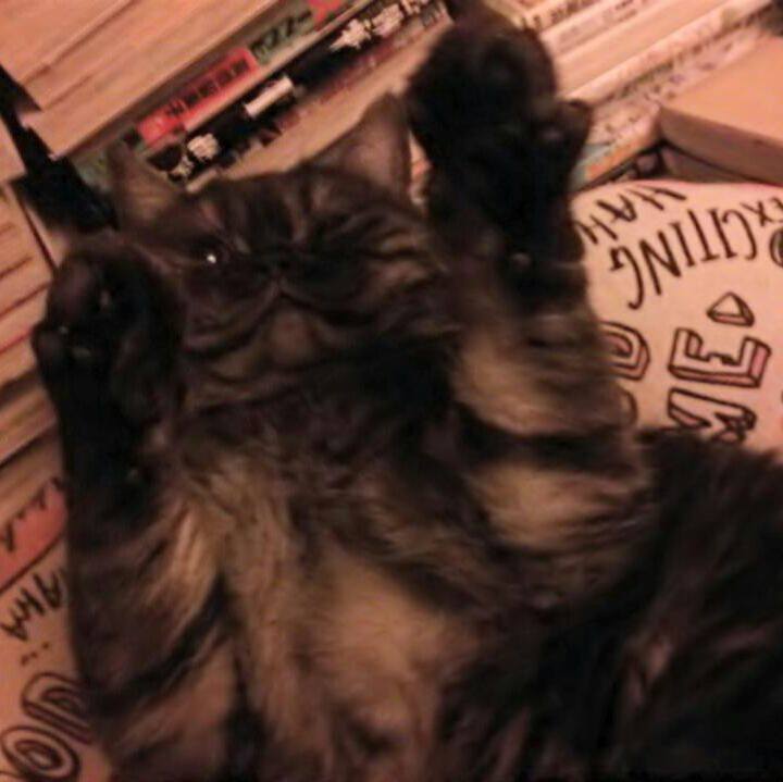 395ef742 87d4 43b8 b32a 354d1d77be99