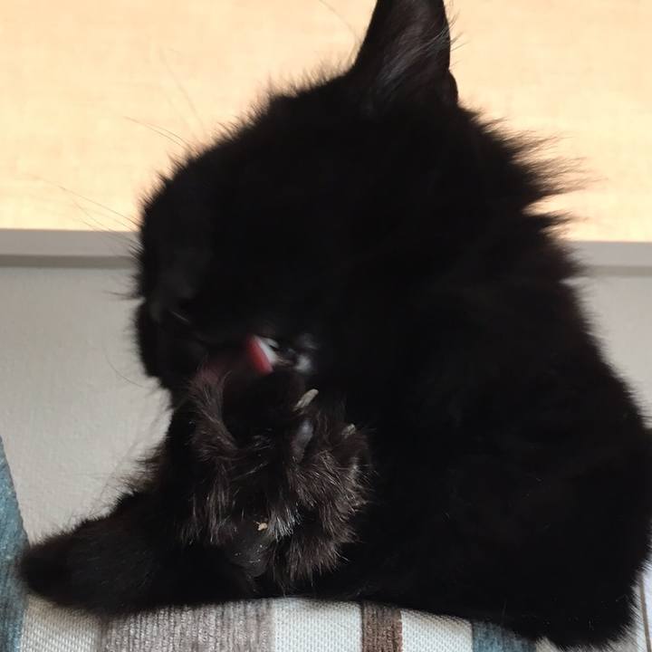 395f9624 e01f 4afa 8de1 b8ca8e025dd6