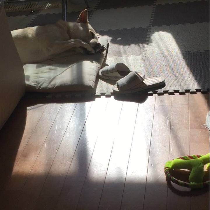 395fbc41 4aab 4f7f 88a3 76565e1159b4