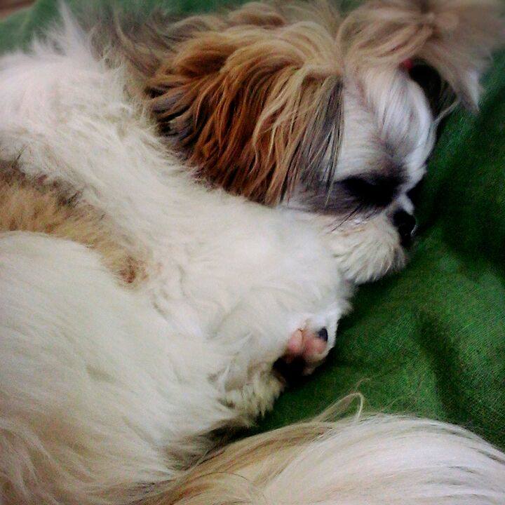 3960a7cf 55b4 4cf4 b047 2e1c0dbcf834