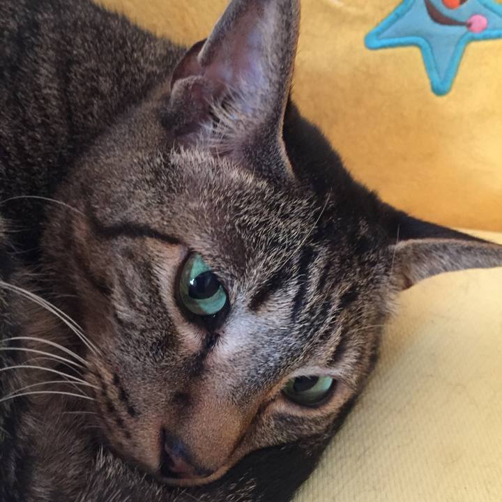 39615ea1 b389 4ea8 943f 759f36d36d7e