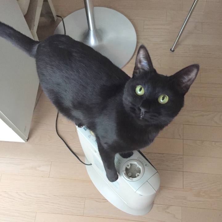 396177be 2559 45f9 920f 1a3bfc8a2728