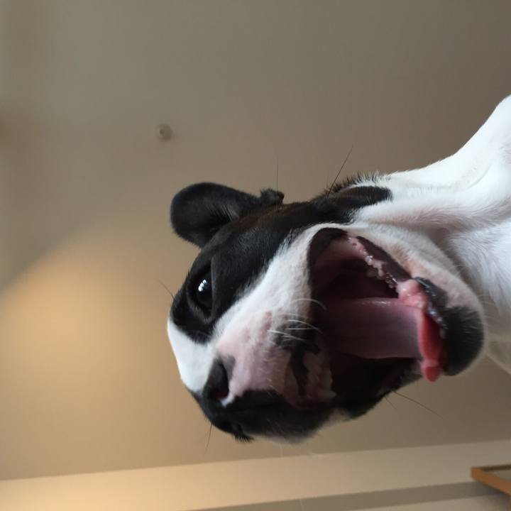 3961b2ad 6874 4728 b5b5 f1962999b893