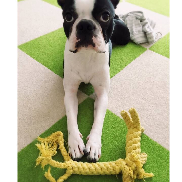 3961c65c 0a62 449d 9952 87d39527a31b