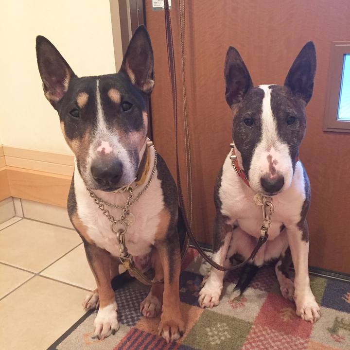 3962e809 75c6 4889 bc83 0986eaf03924