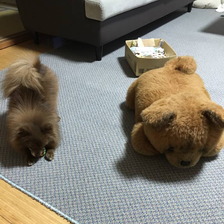 3962ea25 9fea 4d63 bdee 39044f0eb4fe