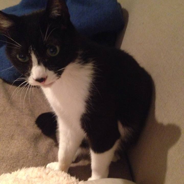 39636bcc 0b76 4c58 943a c965e54ba1d1