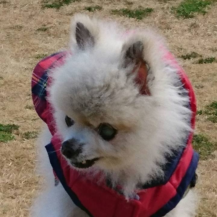 3964237d 3585 4e3b 9dfe c25b81f11a1b