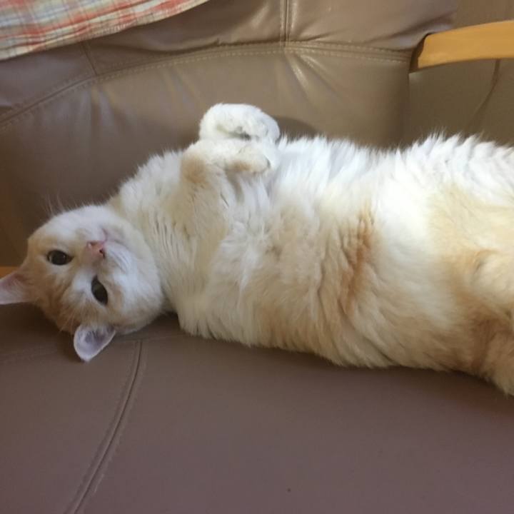 39649414 4ef8 48fb 85d5 bfc8b2a3a17a