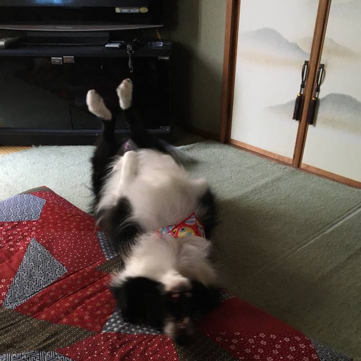 3964a4df 45c3 4578 b7a6 c188cd50f2d5