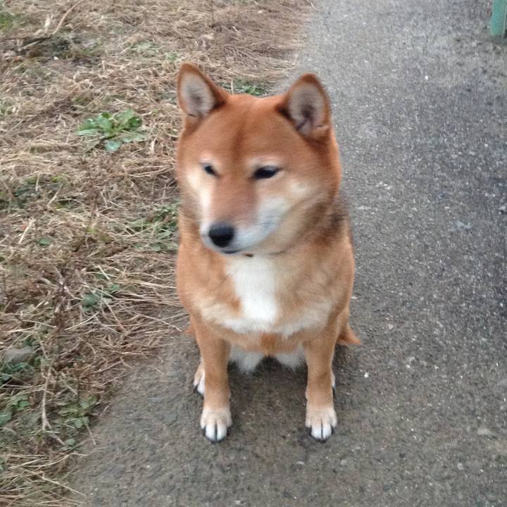 3964d092 e737 490c a53e d3b2b76e9202