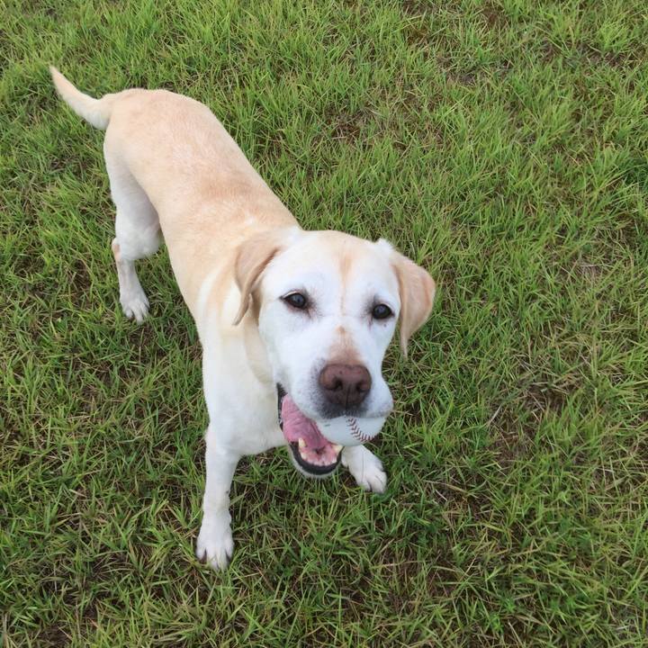 3964d237 785b 4098 9c52 dca775b5dc95