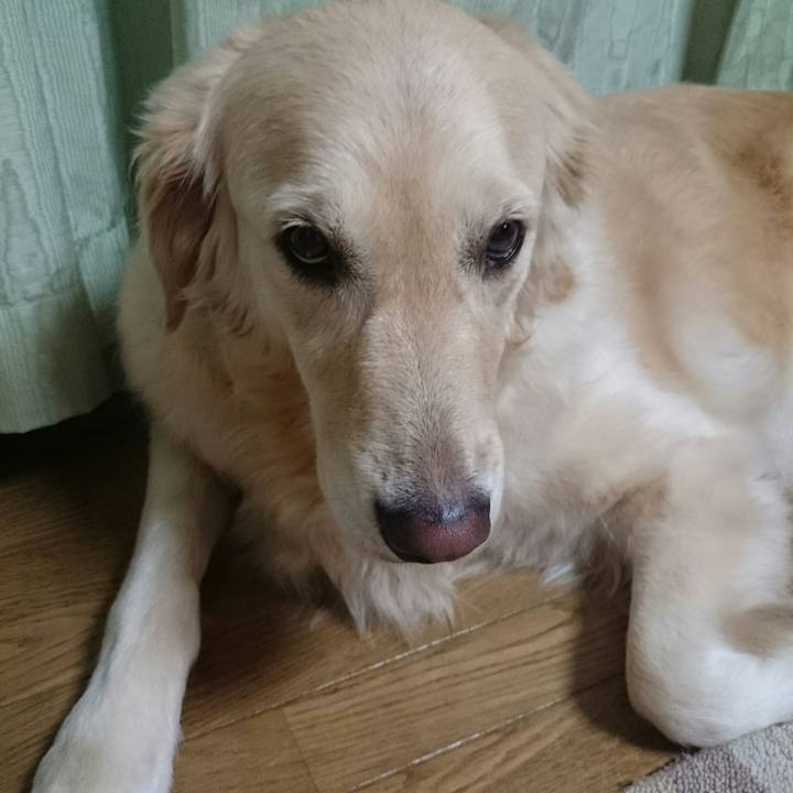 3964d75b cf84 4079 b9b0 45a958874344