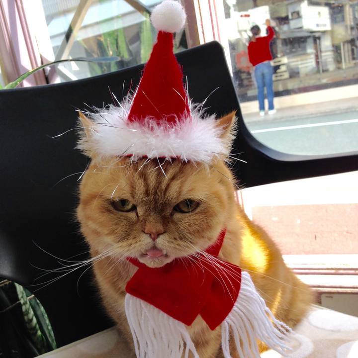 39663b68 4c78 467a 99e8 3c3b30890876