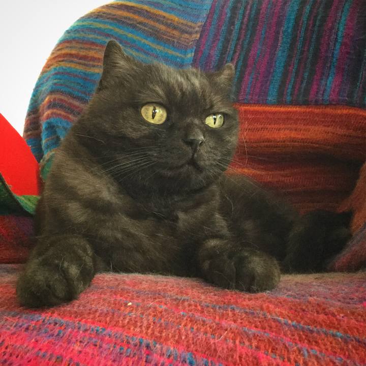 39663e85 d7ab 426c 8a05 b84adb9b998e