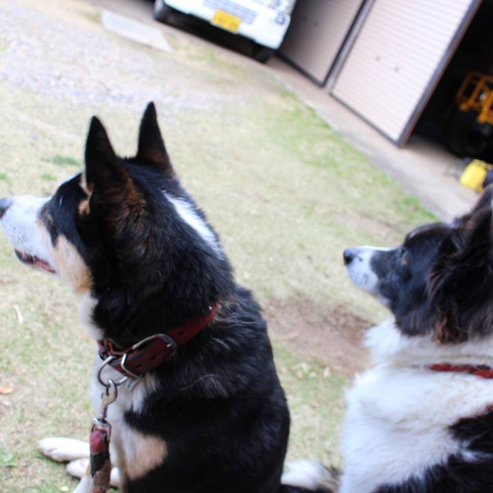 396719db a790 4b9a 8a75 10be7b651699