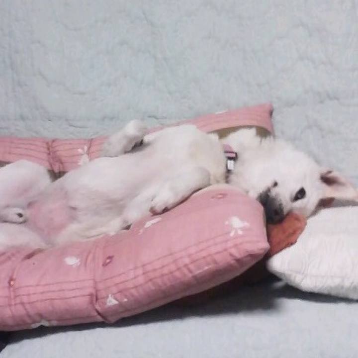 39675ec0 3f71 4f00 af99 828d196a8901