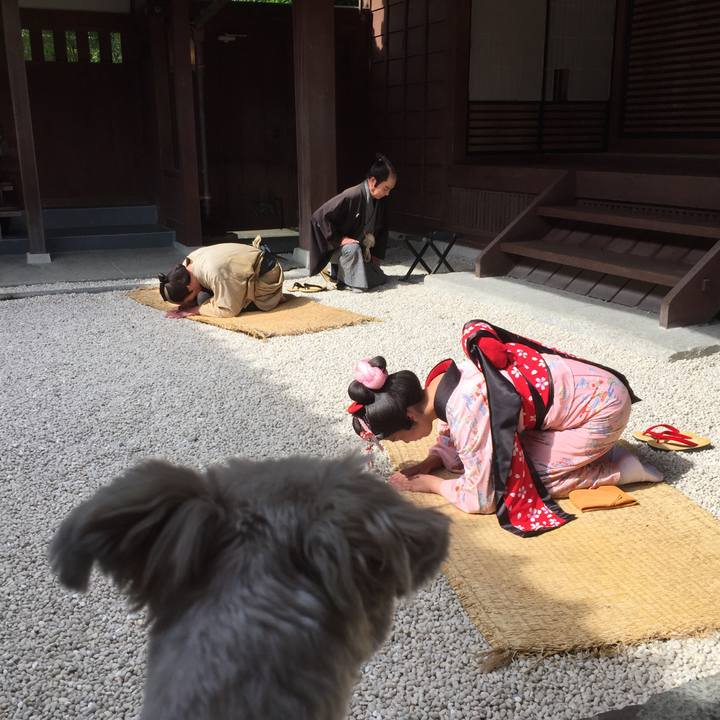 3967afe2 cbac 4a74 a48d f4d538231640