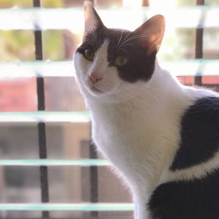 396869c1 57ca 4b6e a95b dd301587638a