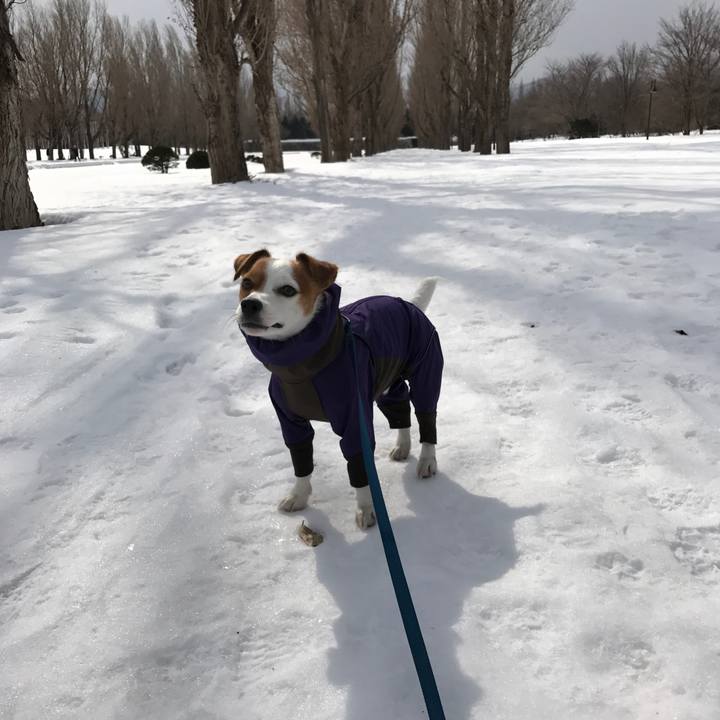 39692b8a 20bb 4ea5 8a8b ec88f8c7db4a