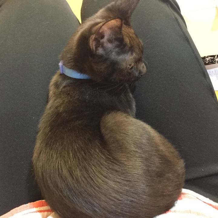 3969d240 8e24 40a2 b380 efc42239e44c