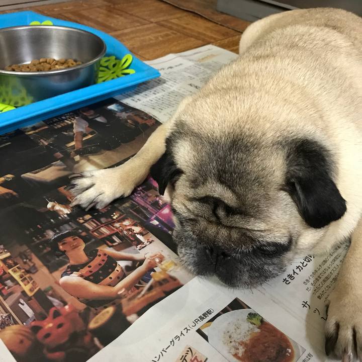 396a333a 342f 40b5 96e8 e170c9ea417d