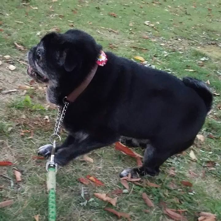 396a7519 d34f 406d 81f8 1444c28d20d4