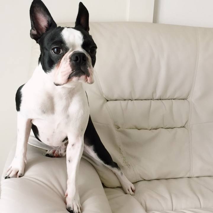 396a8774 024c 4bda a875 152914f09784