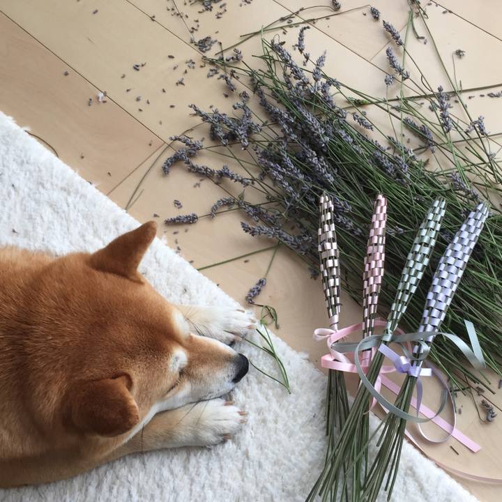 396ac6e2 2123 4557 8d86 70f4264e97f8