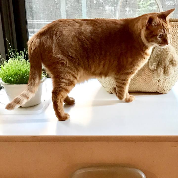 396af75f 9bef 41ac 8937 b53942dc3436