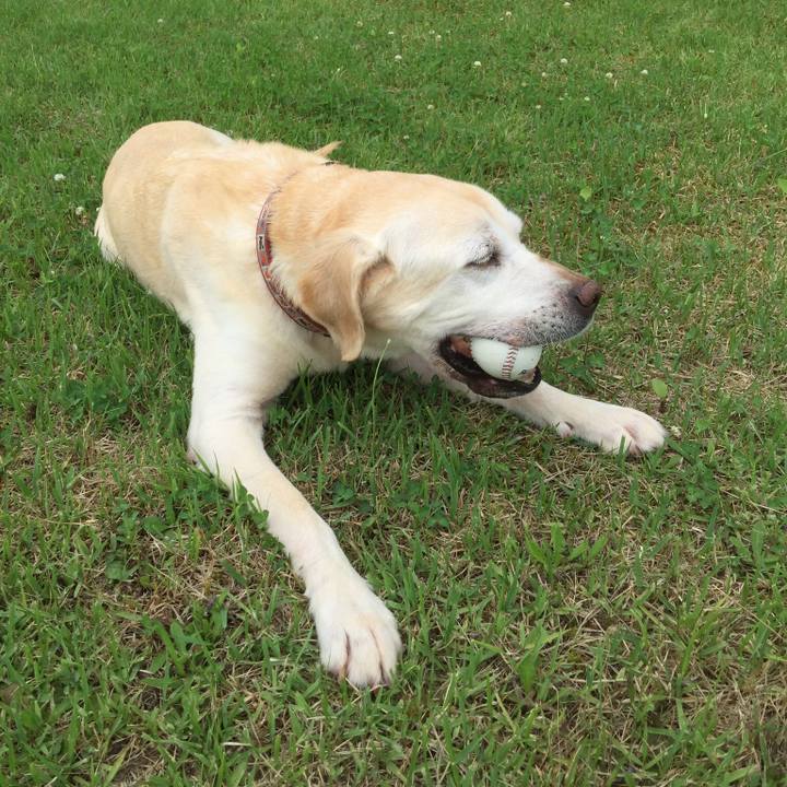 396afece 991b 4a65 96ce 091fa07c07ea