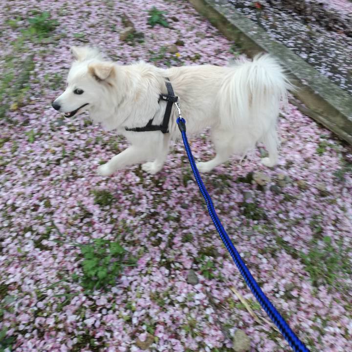 396b6ef2 1a25 4c0e adf8 2a8675c0c25d