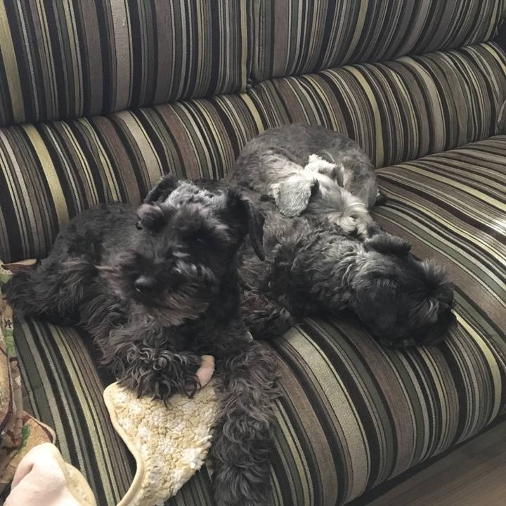 396b92ed acbc 4673 86c6 afd9fbd9502c