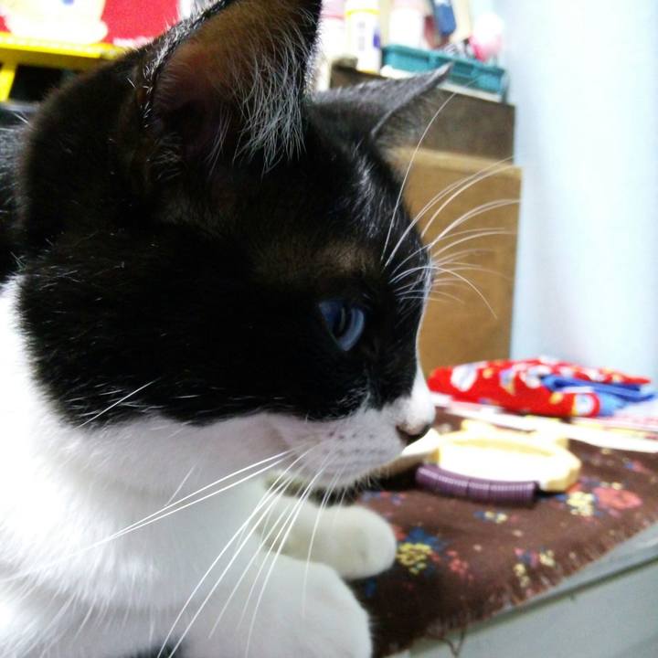 396c1431 6a17 4611 8ace 6762fb481198