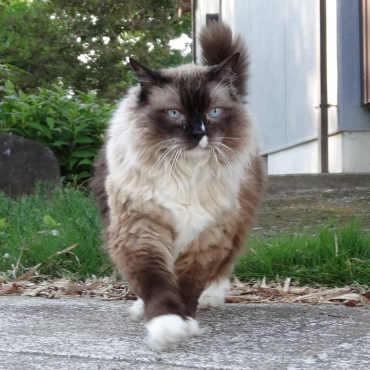 396c5116 ac09 41f0 8c74 7bcd020c9de0