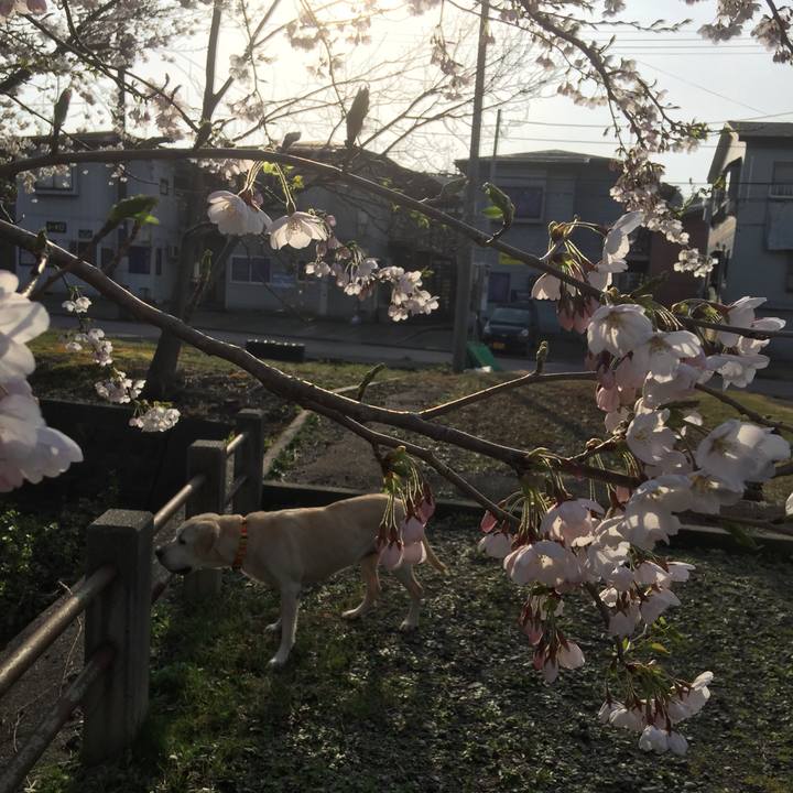 396caac3 35c5 4381 a72d fc0ddd5c81c6