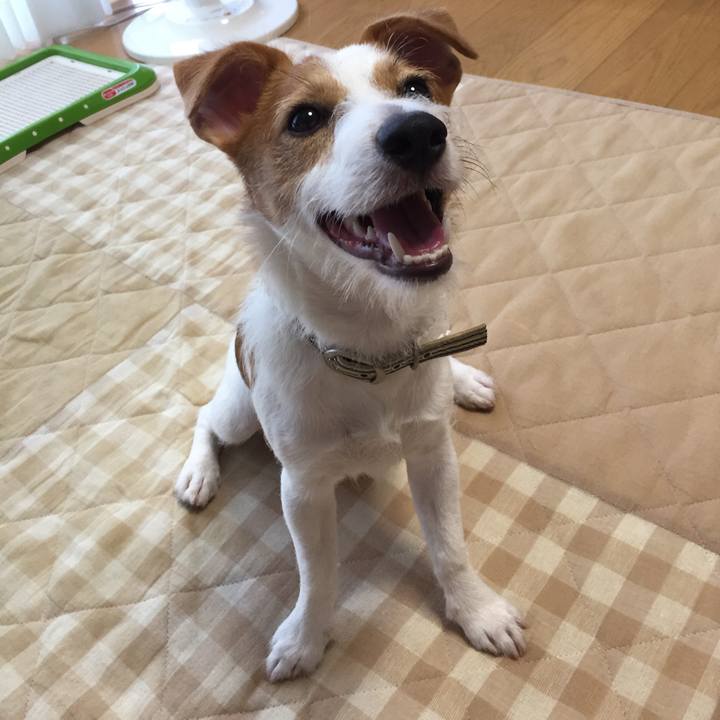 396cbbcb 0c28 4e57 bf23 7b4ee9ce2abd