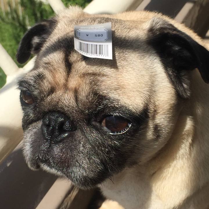 396d6a3b 5f1d 45a5 99ea a186f725dbf5