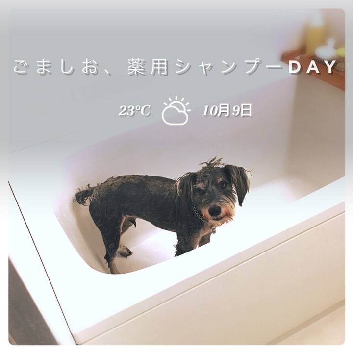 396e9a76 3194 481b a694 642589e0f5ac