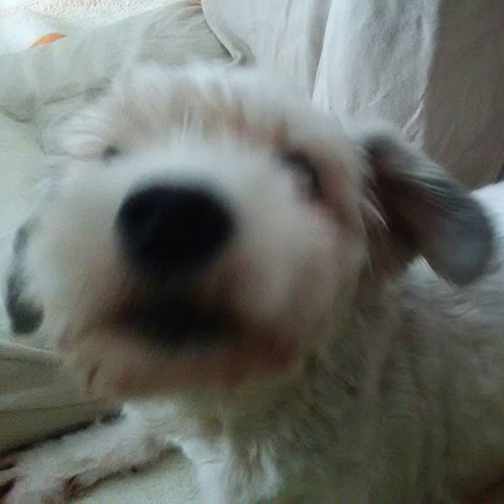 396eddb9 f3d3 46c2 82a7 baa13e23f163