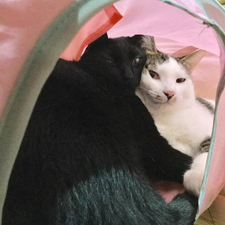 396fe835 7687 461f beef cef44906dbfc