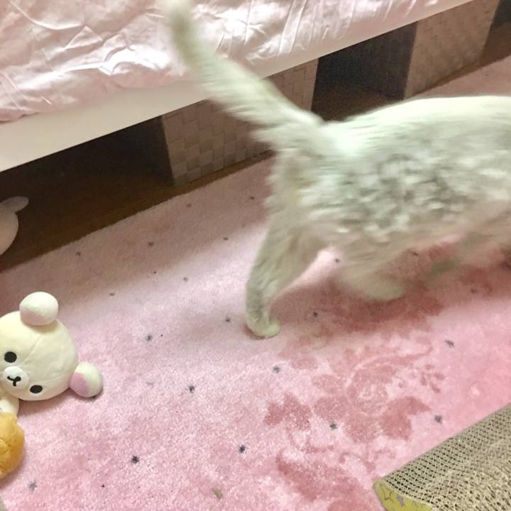 39702da5 ae86 4a32 9d13 6706152b65e4