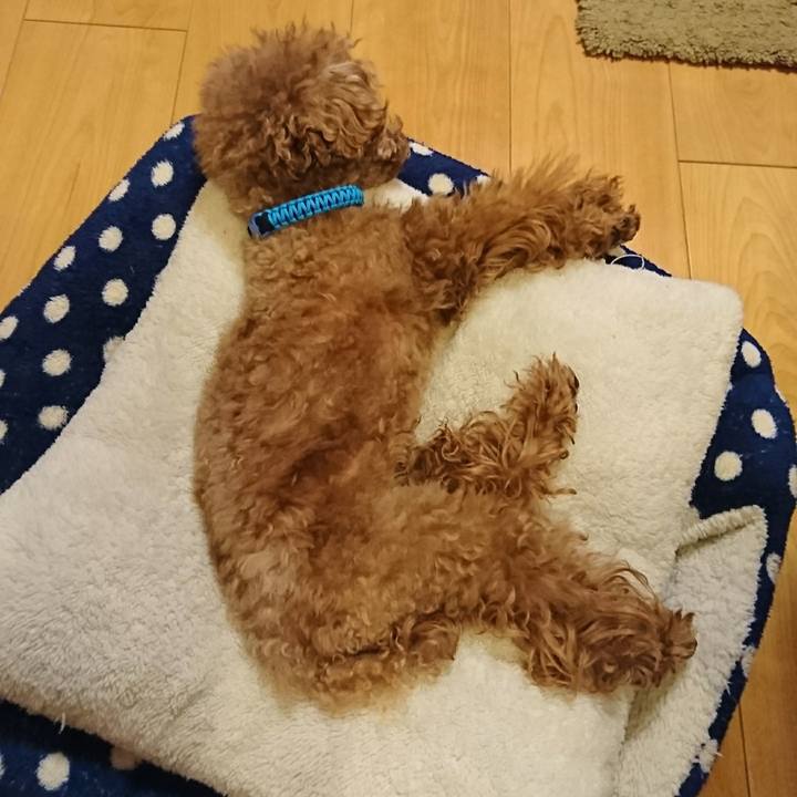 397065c6 52e2 4d1e b032 8586f2c96326