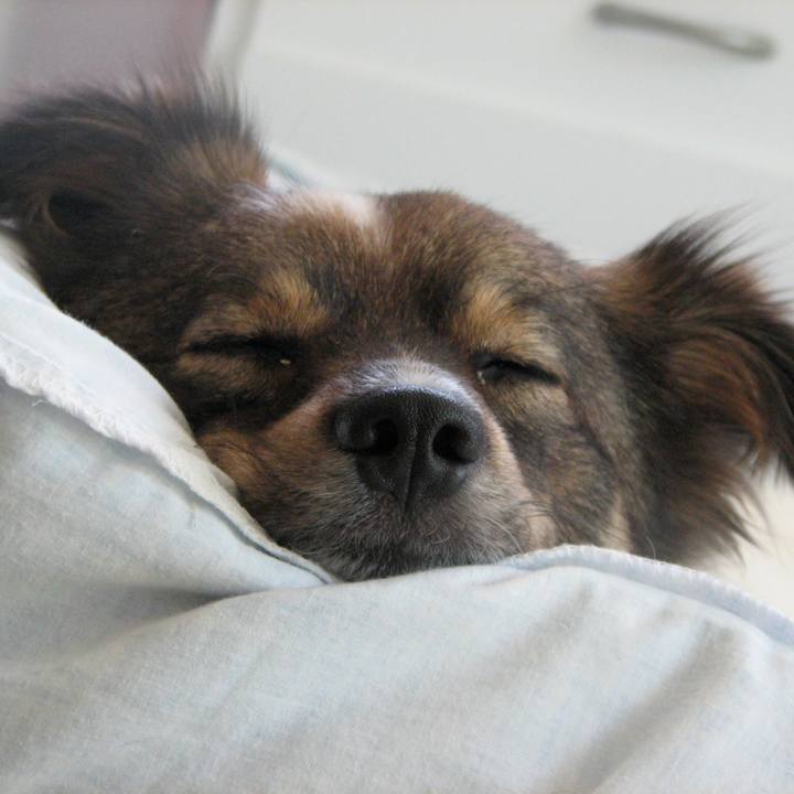 3970edd0 8320 487e 99e2 18b7ff41209e