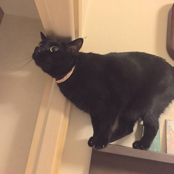 397145ce 73bf 445c a35a caaf21667e93