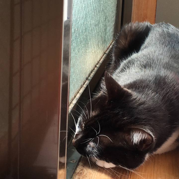 39719efc bbef 4291 95a1 4d6b4aaa470a