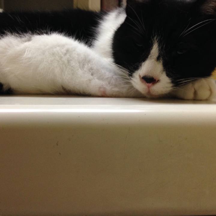 39722908 3694 4a90 92d6 b7dded37ab3c