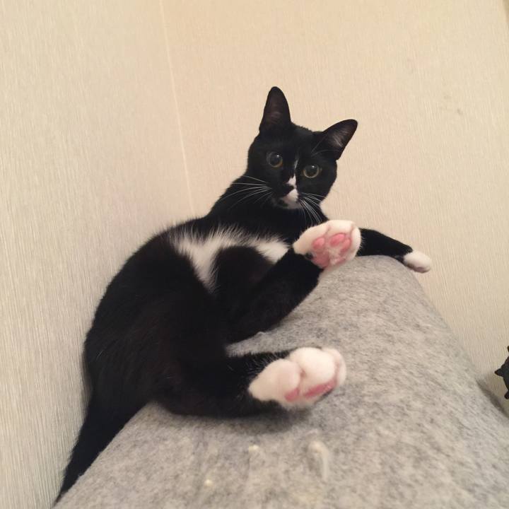 3972954f dcf7 4eb1 b1a7 023b5f0c9ded