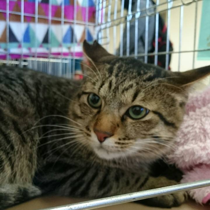 39731eeb ca49 4550 9f45 ecdae8c484e7