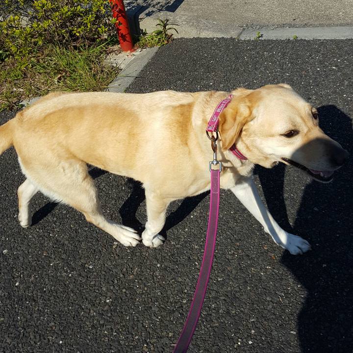 3974280c 35e8 4bb2 9d88 9a475b77ea05